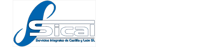 Servicios integrales de Castilla y León
