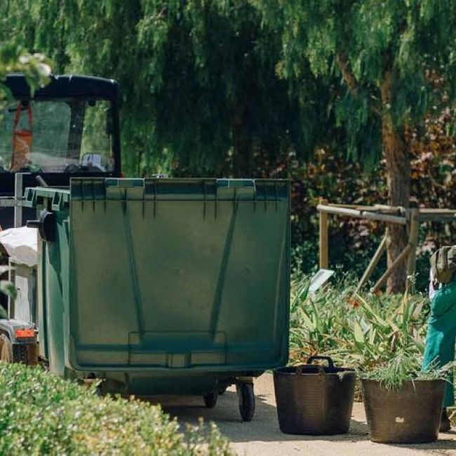 Conservación y mantenimiento de montes y jardines