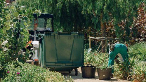 Conservación y mantenimiento de montes y jardines